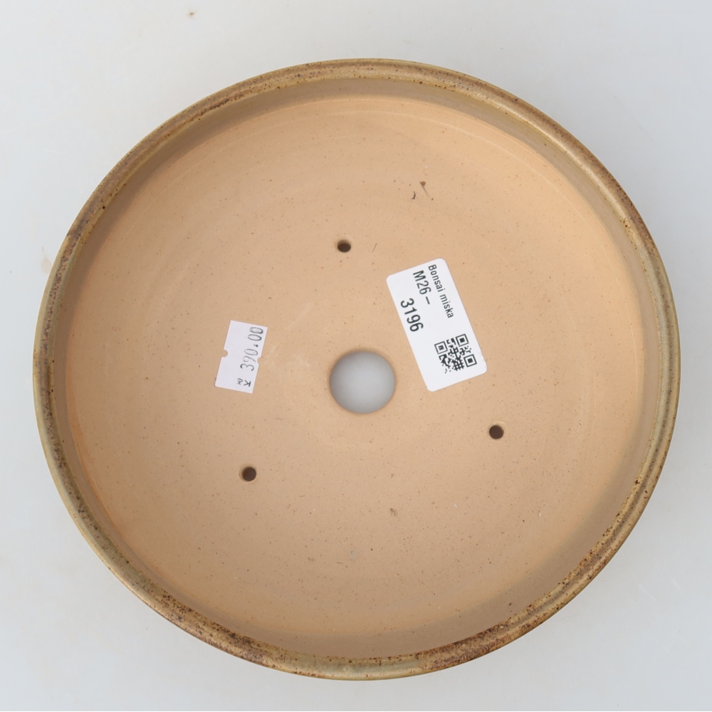 Keramik-Bonsai-Schale, 17,5 x 17,5 x 5,5 cm, Farbe: Beige