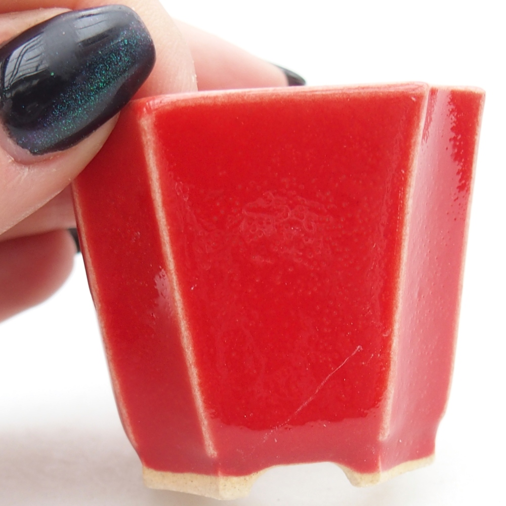 Mini-Bonsaischale 4,5 x 4,5 x 4 cm, Farbe rot