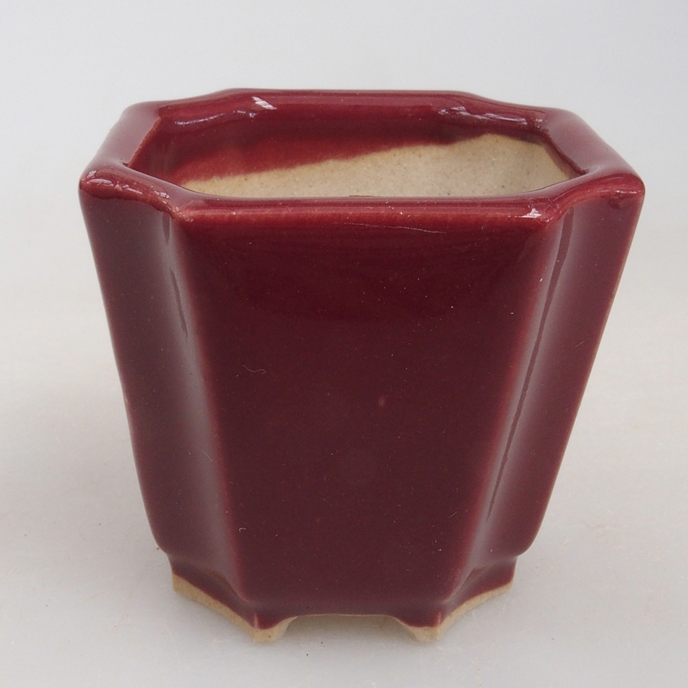 Mini-Bonsaischale 4 x 4 x 4 cm, Farbe Burgunder
