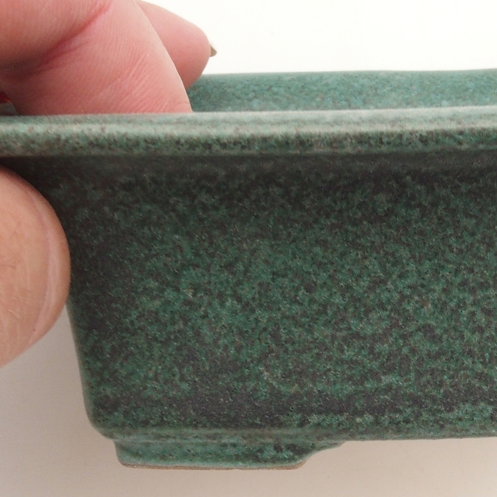 Bonsai-Schale H11 - 11,5 x 10 x 4 cm - grün