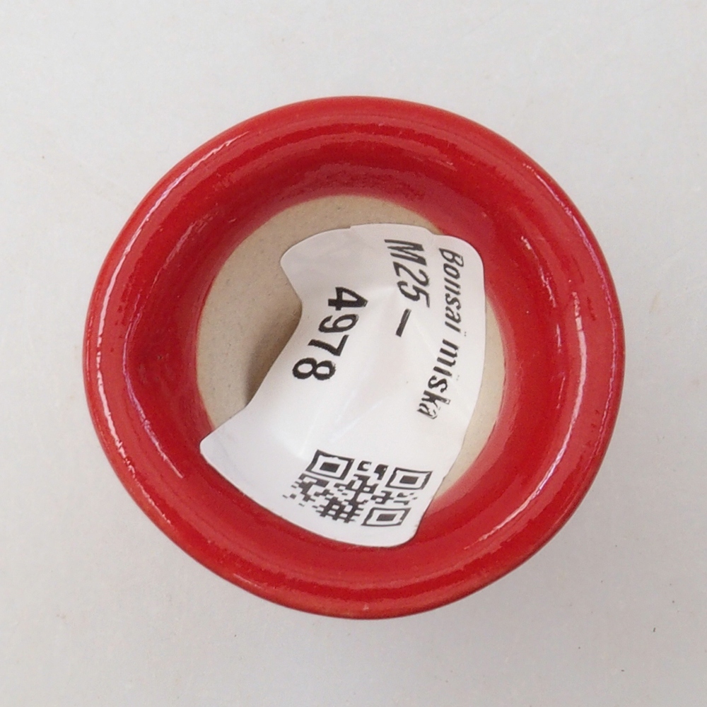 Mini-Bonsaischale 4 x 4 x 4 cm, Farbe rot
