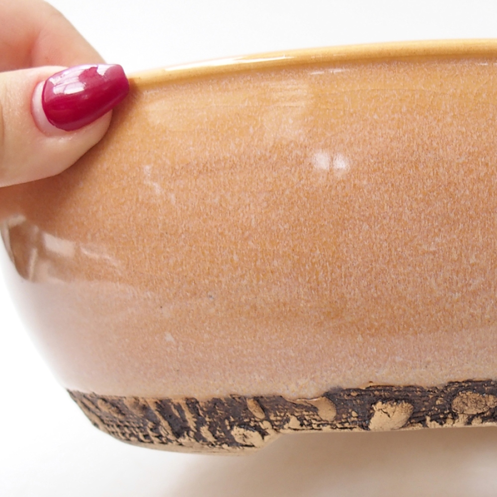 Keramik-Bonsaischale 20,5 x 20,5 x 7,5 cm, Farbe beige