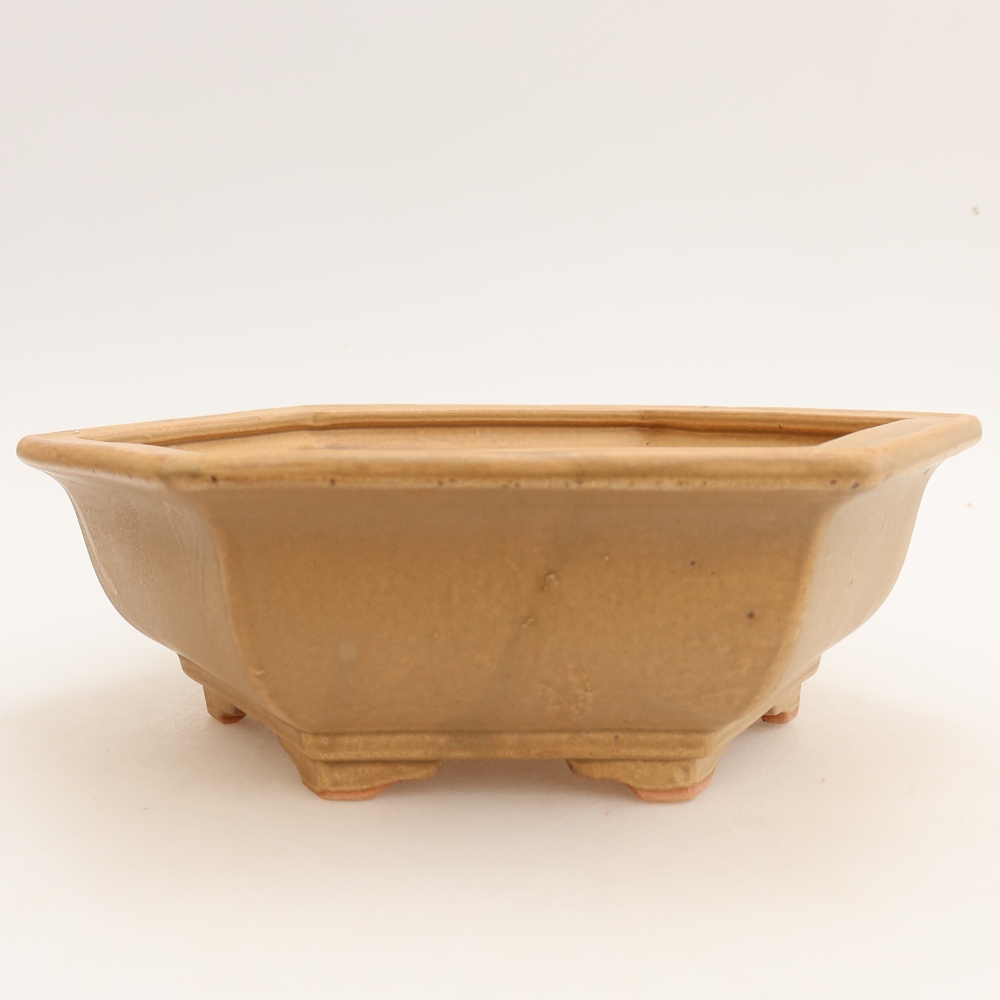 Keramik-Bonsai-Schale 24 x 21,5 x 7,5 cm, Farbe: Beige