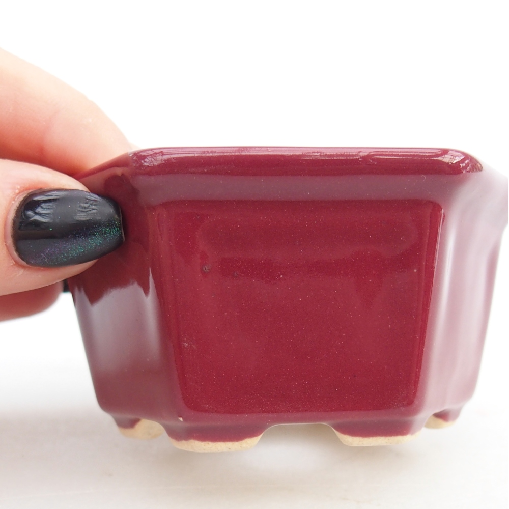 Mini-Bonsaischale 8 x 7 x 4 cm, bordeauxrot