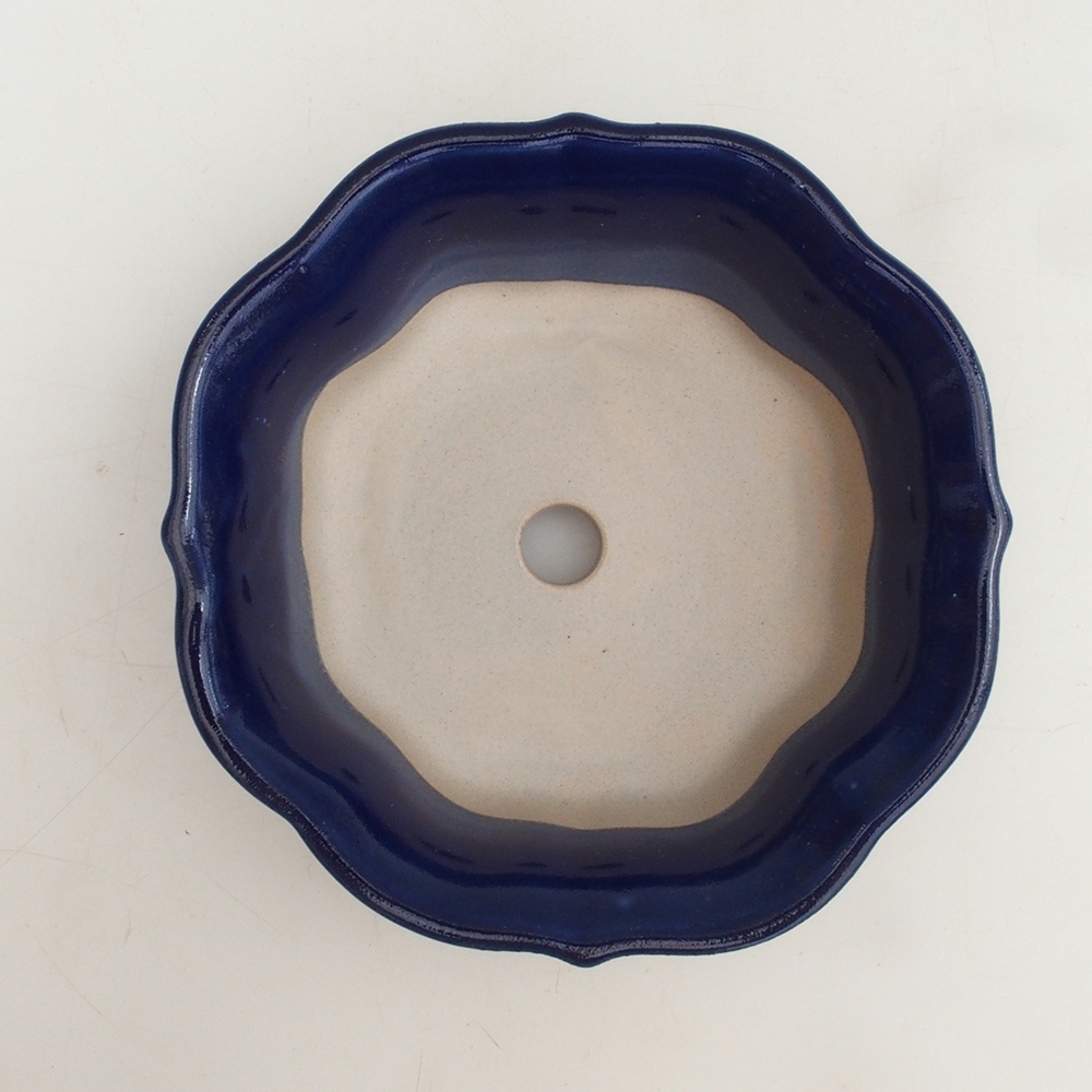Bonsai-Schale H16 – 14,5 x 14,5 x 5 cm – blau