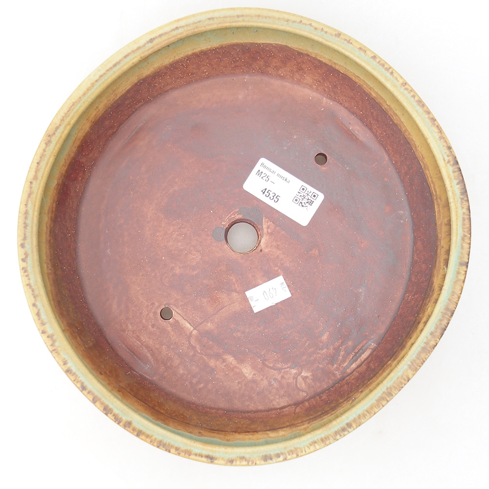 Keramik-Bonsaischale 21,5 x 21,5 x 6 cm, Farbe Grün