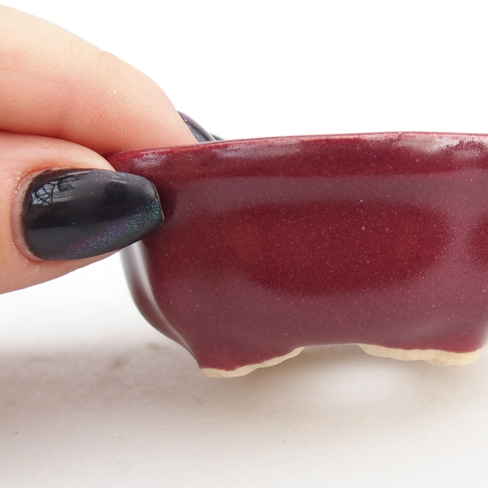 Mini-Bonsaischale 6,5 x 6,5 x 3 cm, bordeauxrot