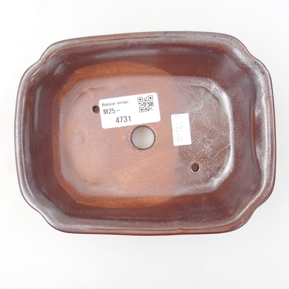Keramik-Bonsaischale 16 x 12 x 5 cm, Farbe braun