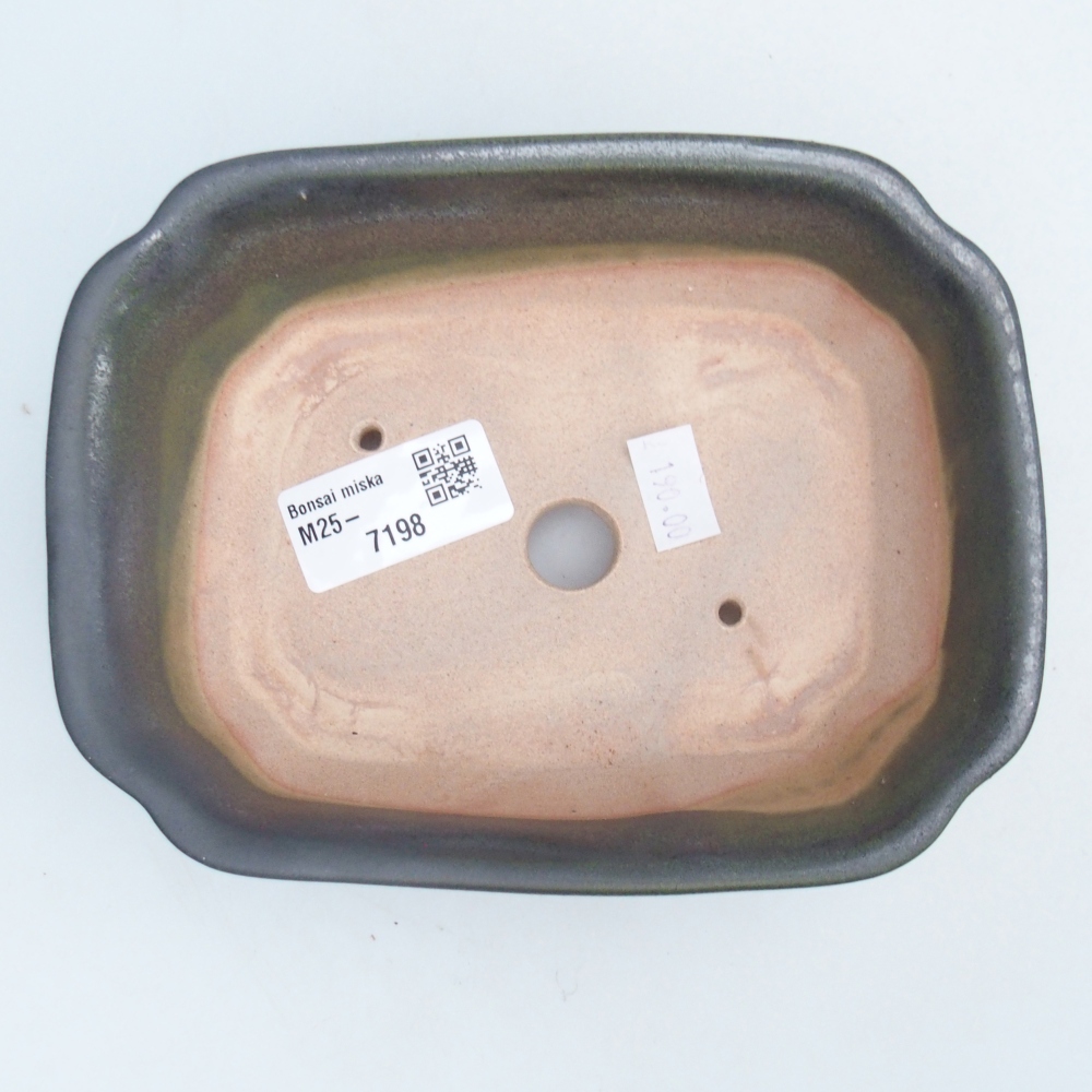 Bonsaischale aus Keramik 16 x 12 x 5 cm, grün
