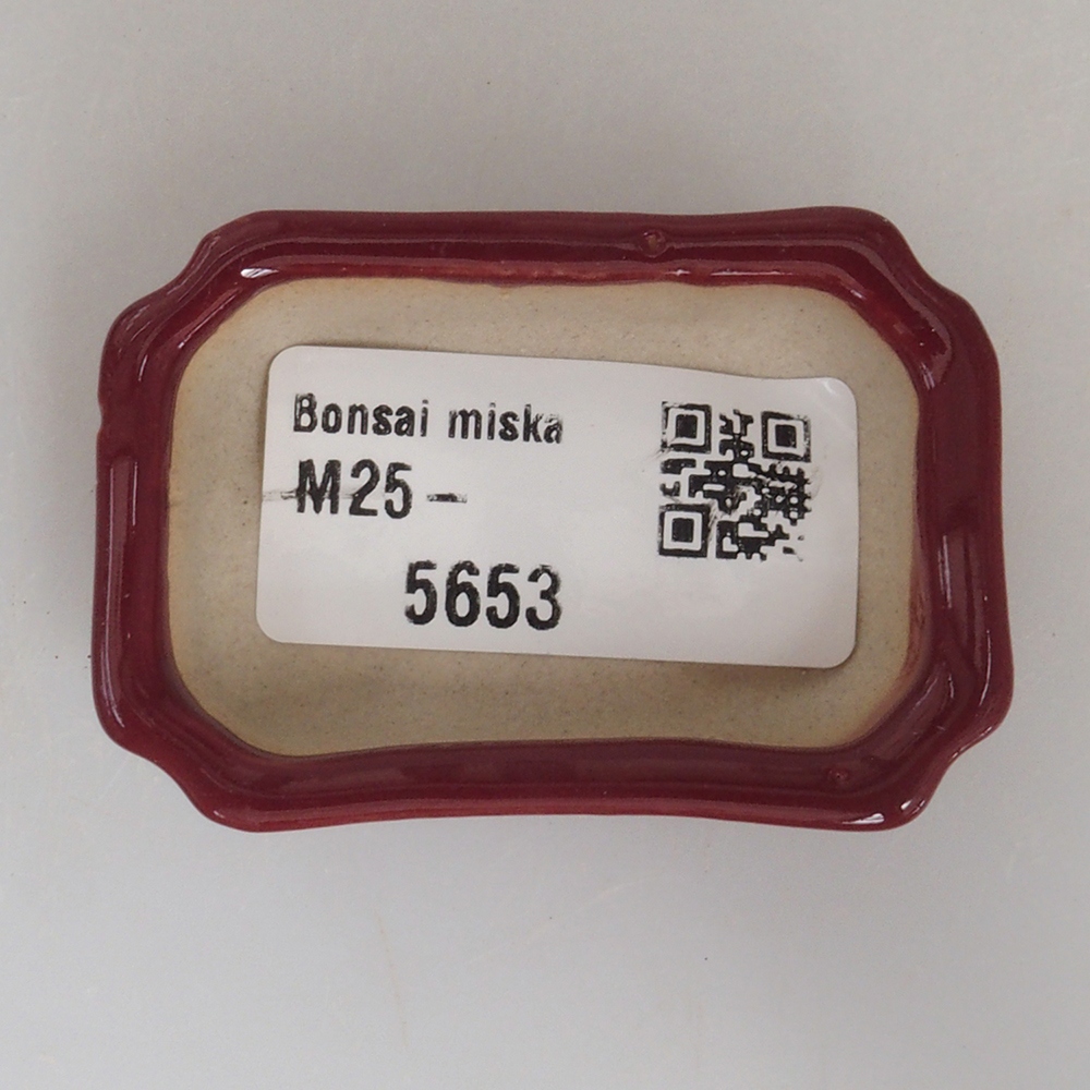 Mini-Bonsaischale 5,5 x 3,5 x 1,5 cm, Farbe Burgunder
