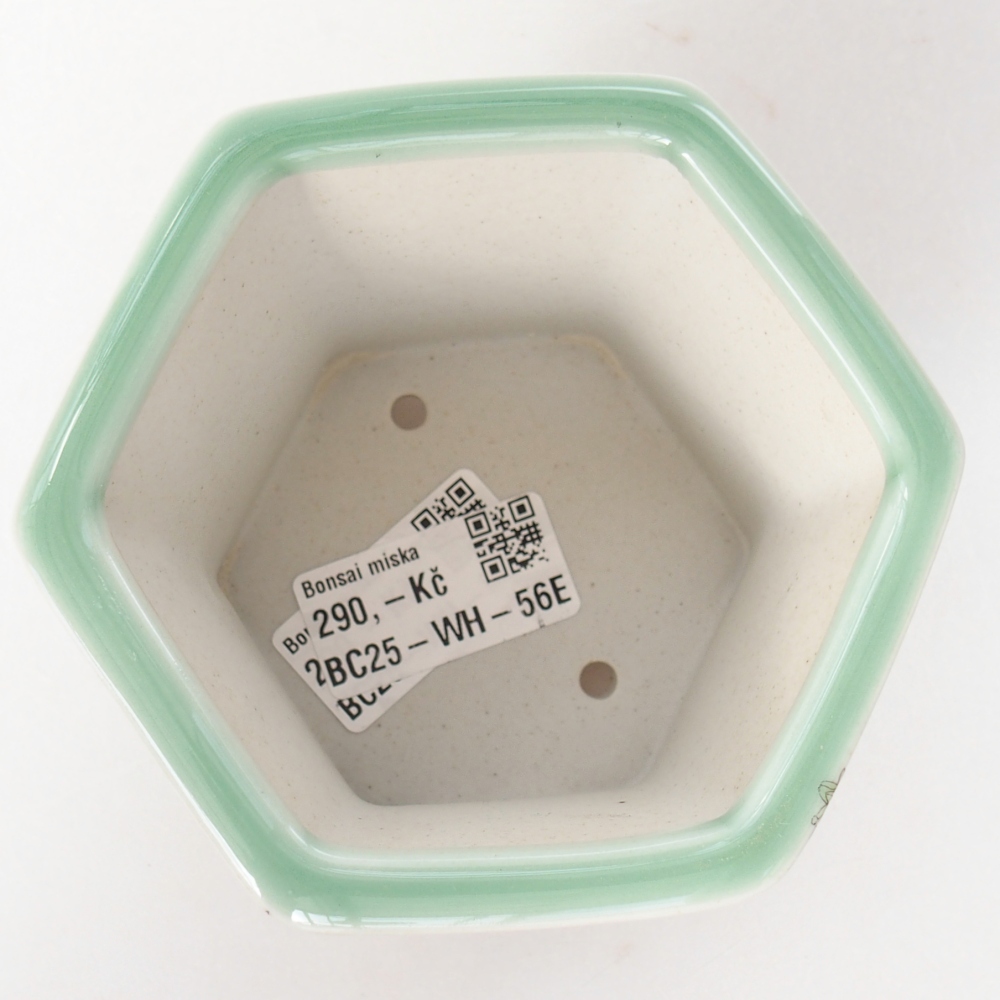 Bonsaischale aus Keramik 10,5 x 9,5 x 8,5 cm, grün