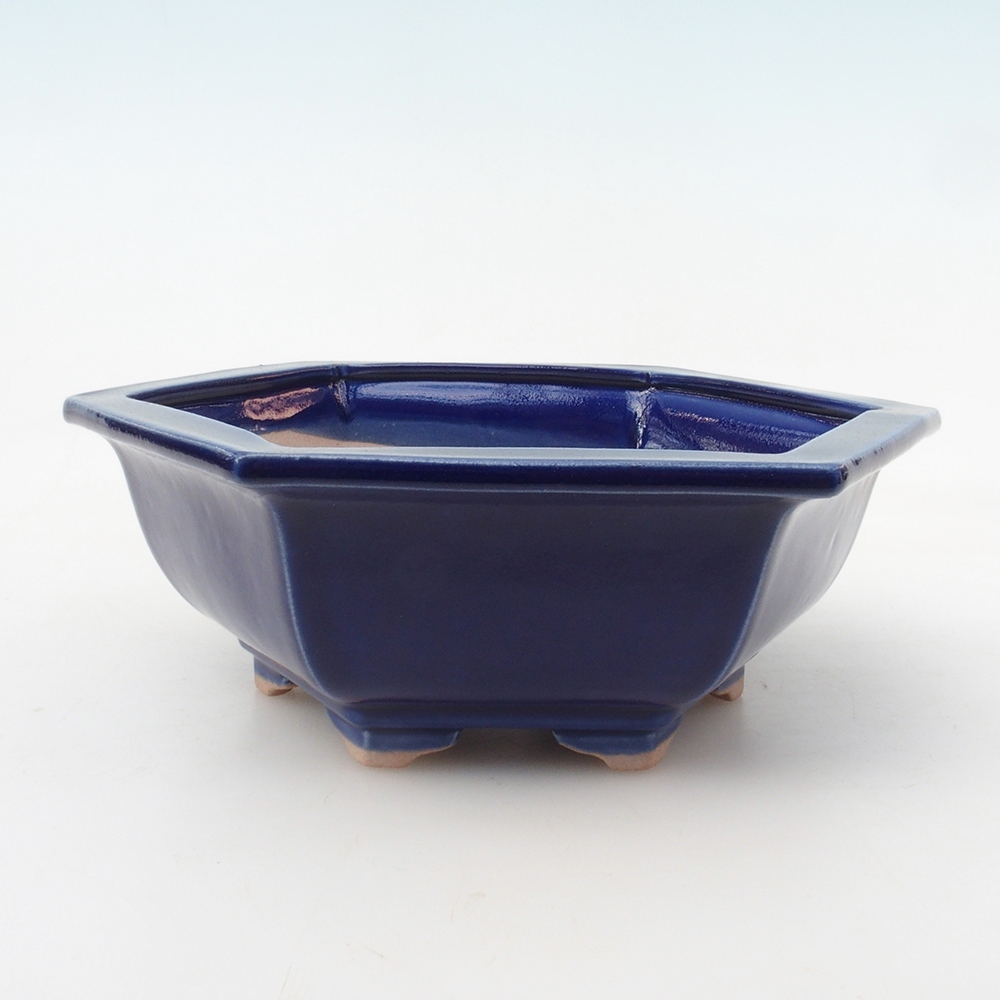 Bonsai-Schale H05 – 19 x 21,5 x 7 cm – blau