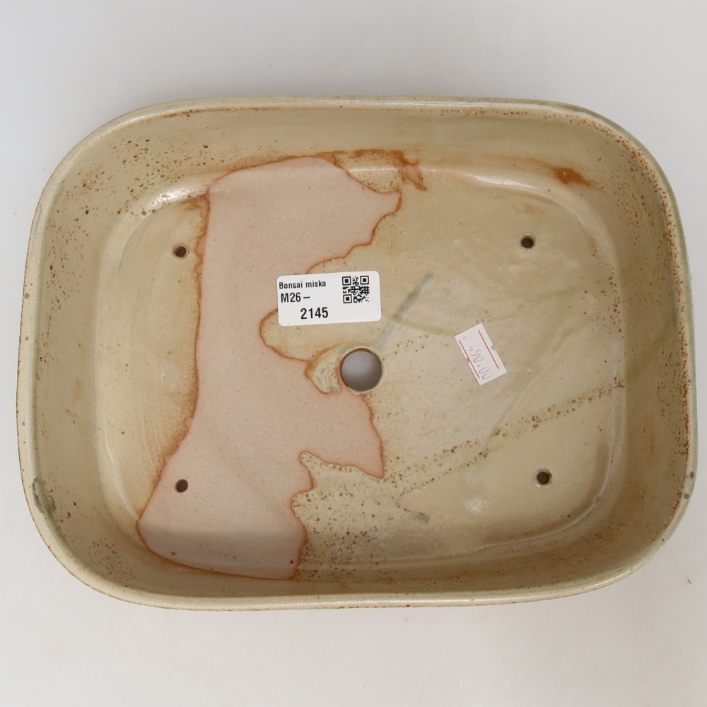 Keramik-Bonsai-Schale 23 x 18 x 5,5 cm, Farbe: Beige