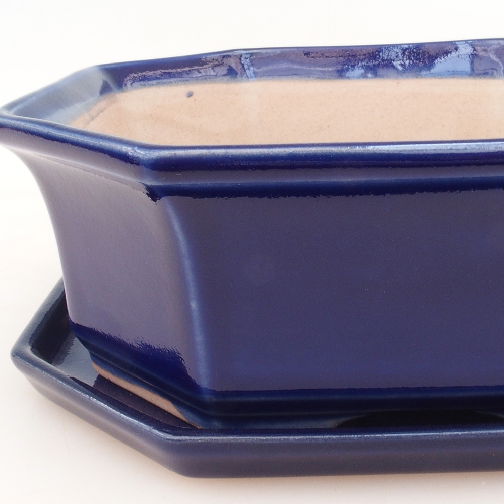 Bonsai-Schale + Schale H14 - blau