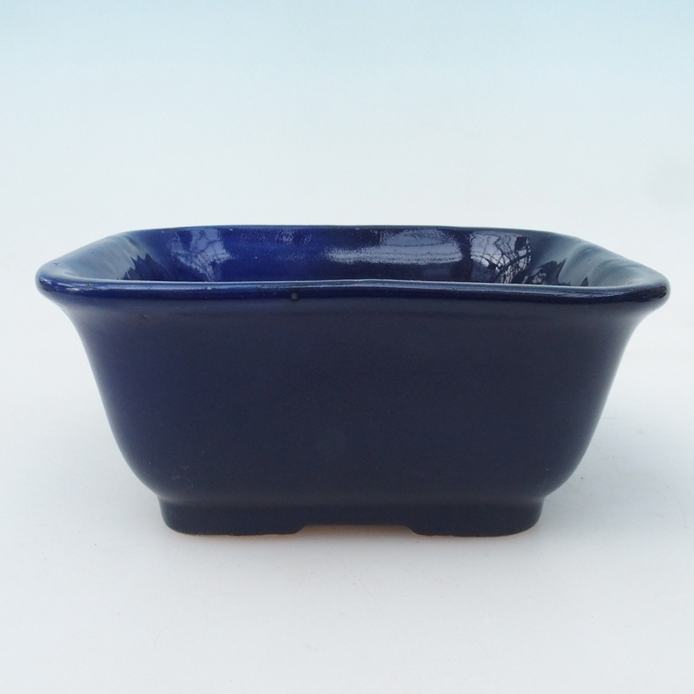 Bonsai-Schale H38 - 12 x 10 x 5,5 cm - blau