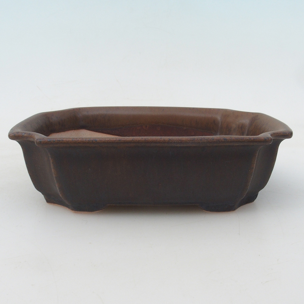 Bonsai-Schale + Untertasse H01 – 12 x 9 x 5 cm