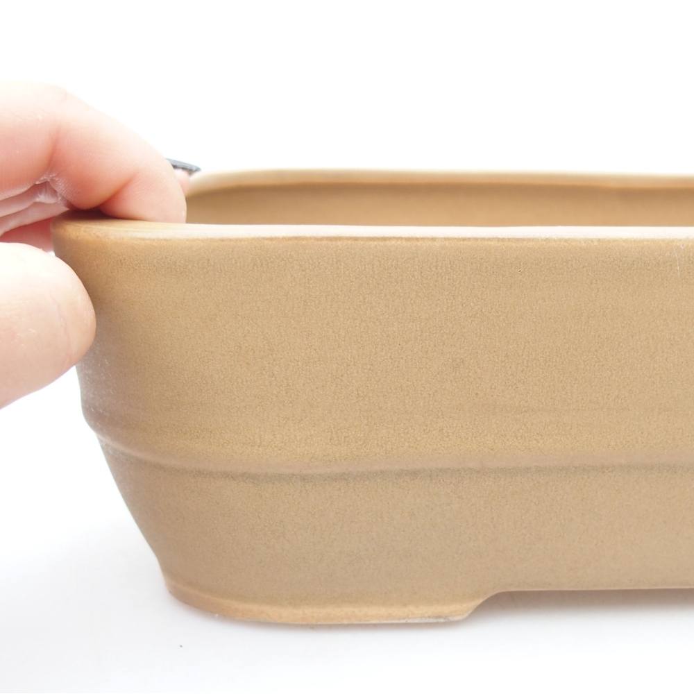 Keramik-Bonsaischale 28 x 21 x 7,5 cm, Farbe Beige