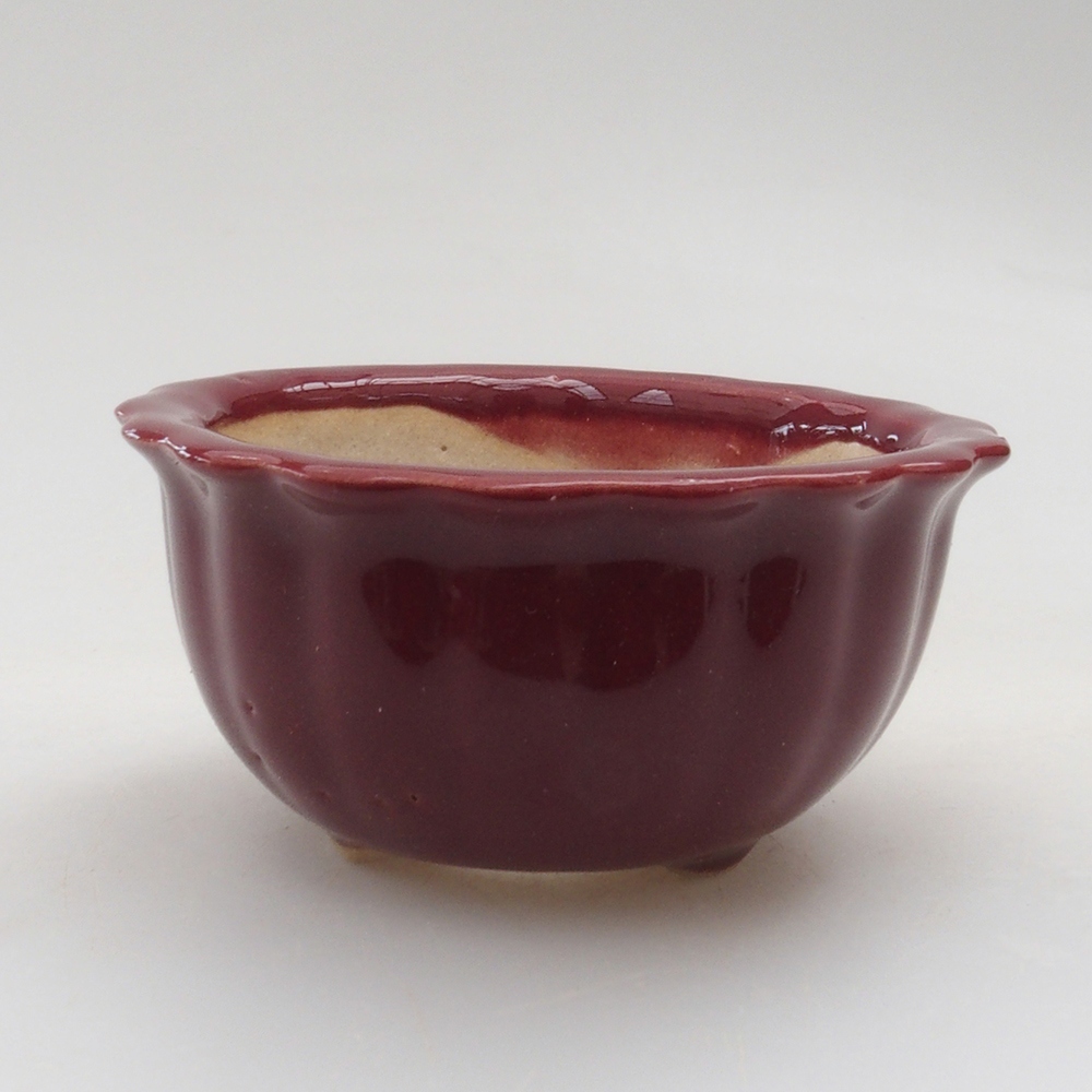 Mini-Bonsaischale 6,5 x 6,5 x 3,5 cm, Farbe Burgunder