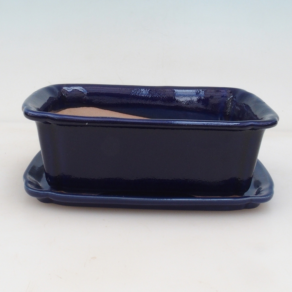Bonsai-Schale + Untertasse H50 – blau