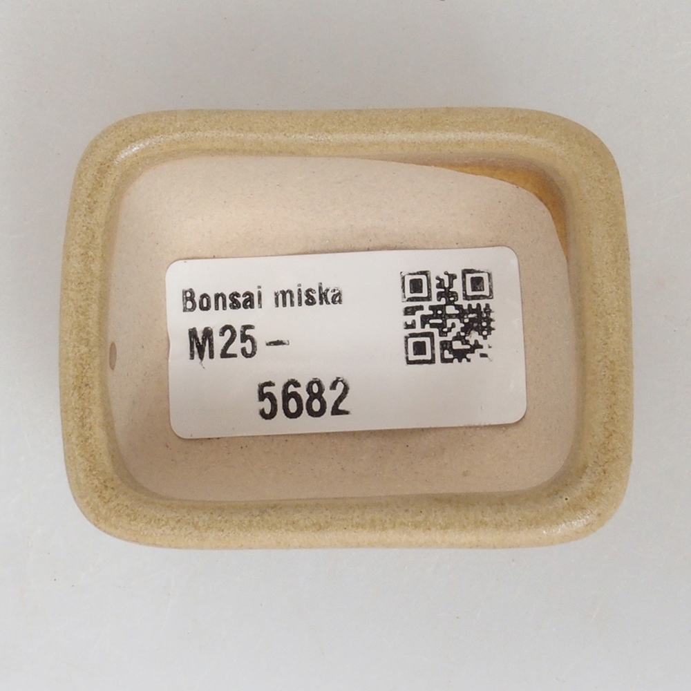 Mini-Bonsaischale 5,5 x 4,5 x 2,5  cm, Farbe braun