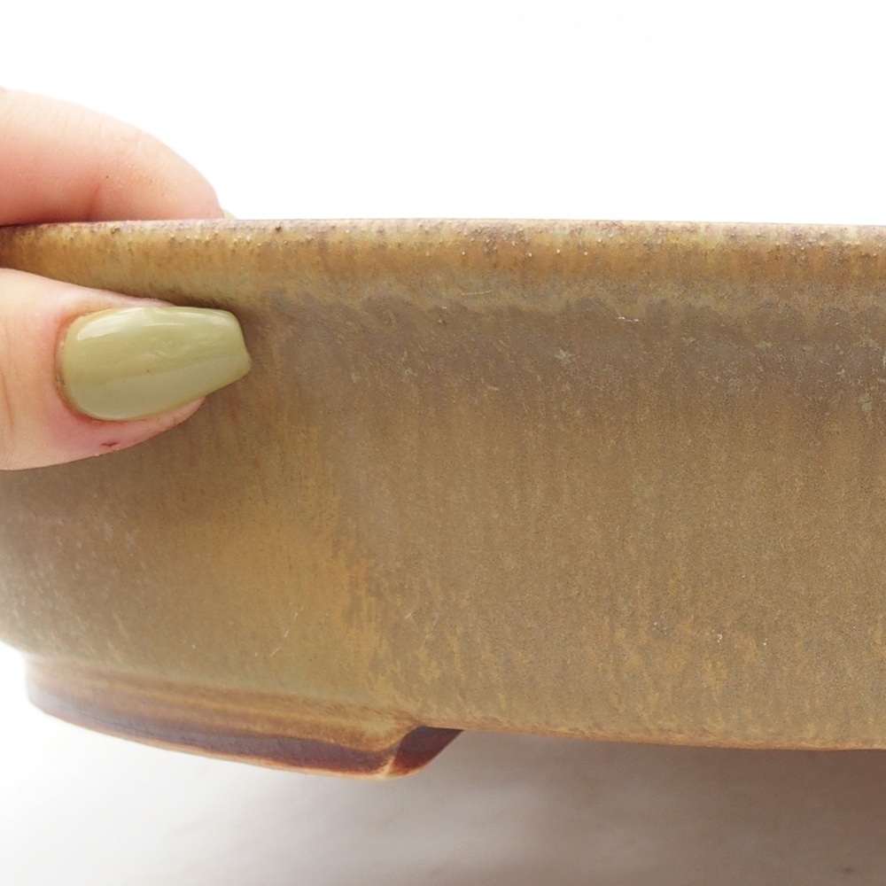 Keramik-Bonsaischale 25,5 x 28,5 x 5,5  cm, Farbe Grün