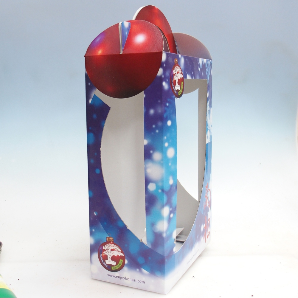 Geschenk-Bonsai-Box - Papier