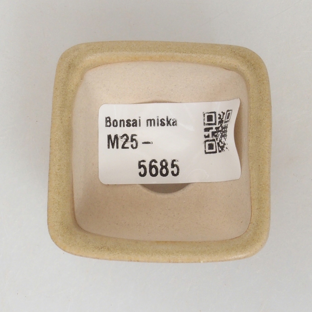 Mini-Bonsaischale 4,5 x 4,5 x 3  cm, Farbe braun