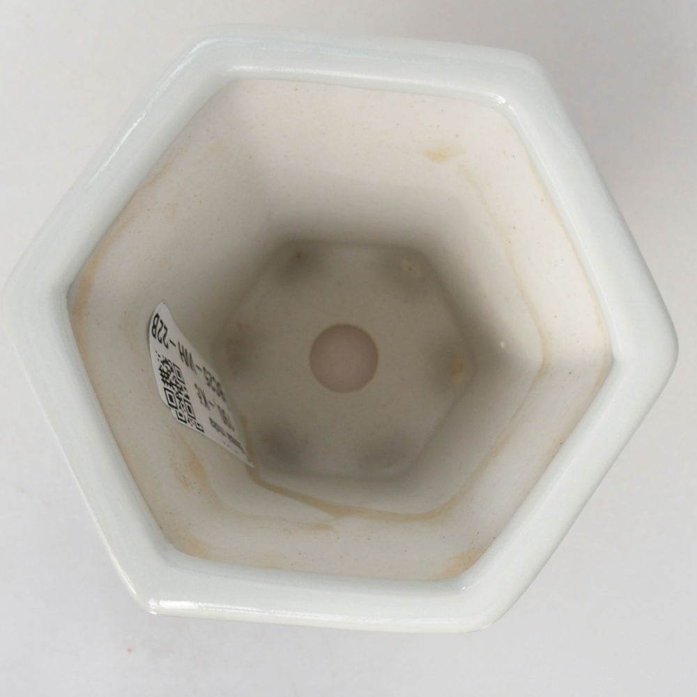 Bonsaischale aus Keramik 10 x 9 x 9 cm, Farbe weiß