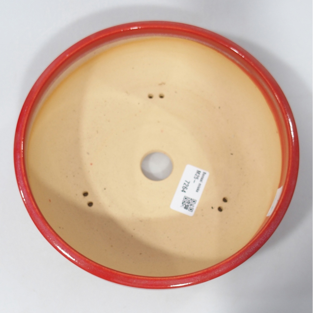 Bonsaischale aus Keramik 20,5 x 20,5 x 6 cm, Farbe rot