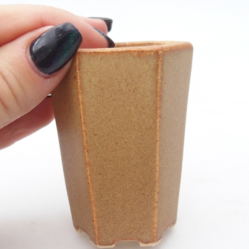 Mini-Bonsaischale 5 x 4,5 x 6,5 cm, braun
