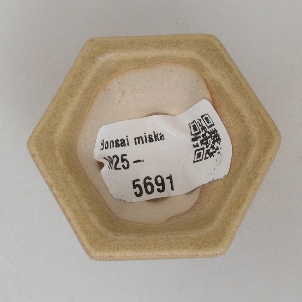 Mini-Bonsaischale 4,5 x 4,5 x 2,5  cm, Farbe braun