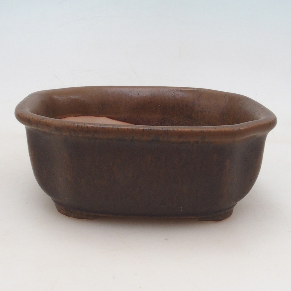 Bonsai-Schale + Untertasse H31 – Braun