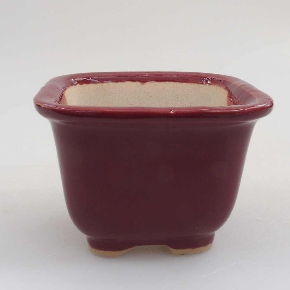 Mini-Bonsaischale 6 x 6 x 4,5 cm, Farbe Burgunder