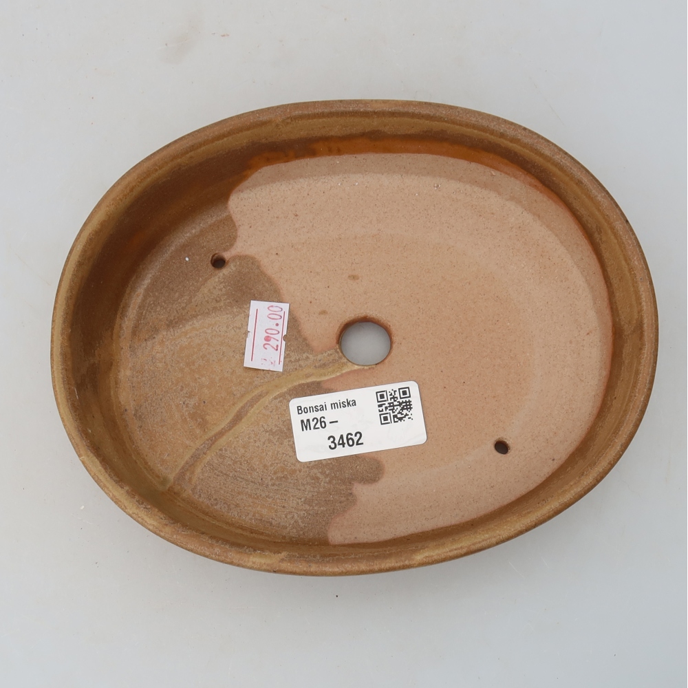 Bonsaischale aus Keramik 17 x 14 x 4 cm, Farbe beige