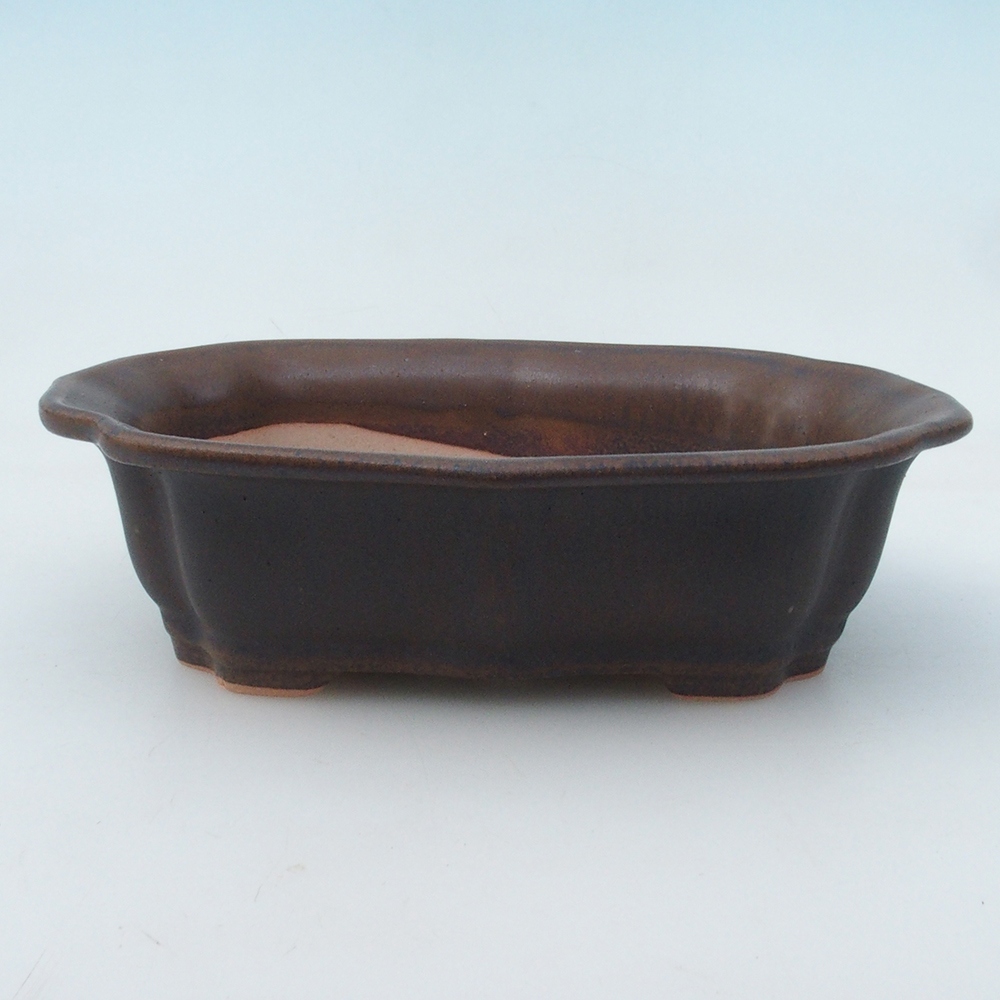 Bonsai-Schale + Untertasse H01 – 12 x 9 x 5 cm