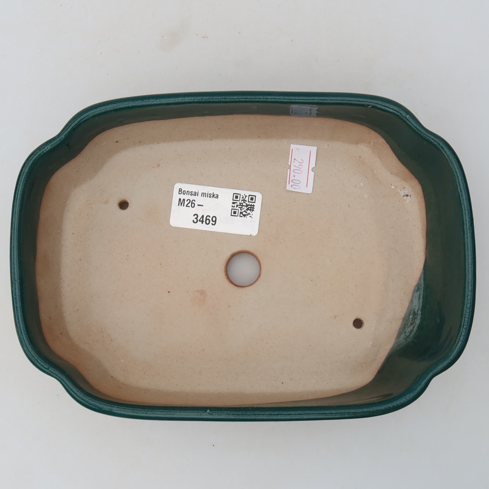 Keramik-Bonsai-Schale 18,5 × 13 × 5 cm, Farbe: grün