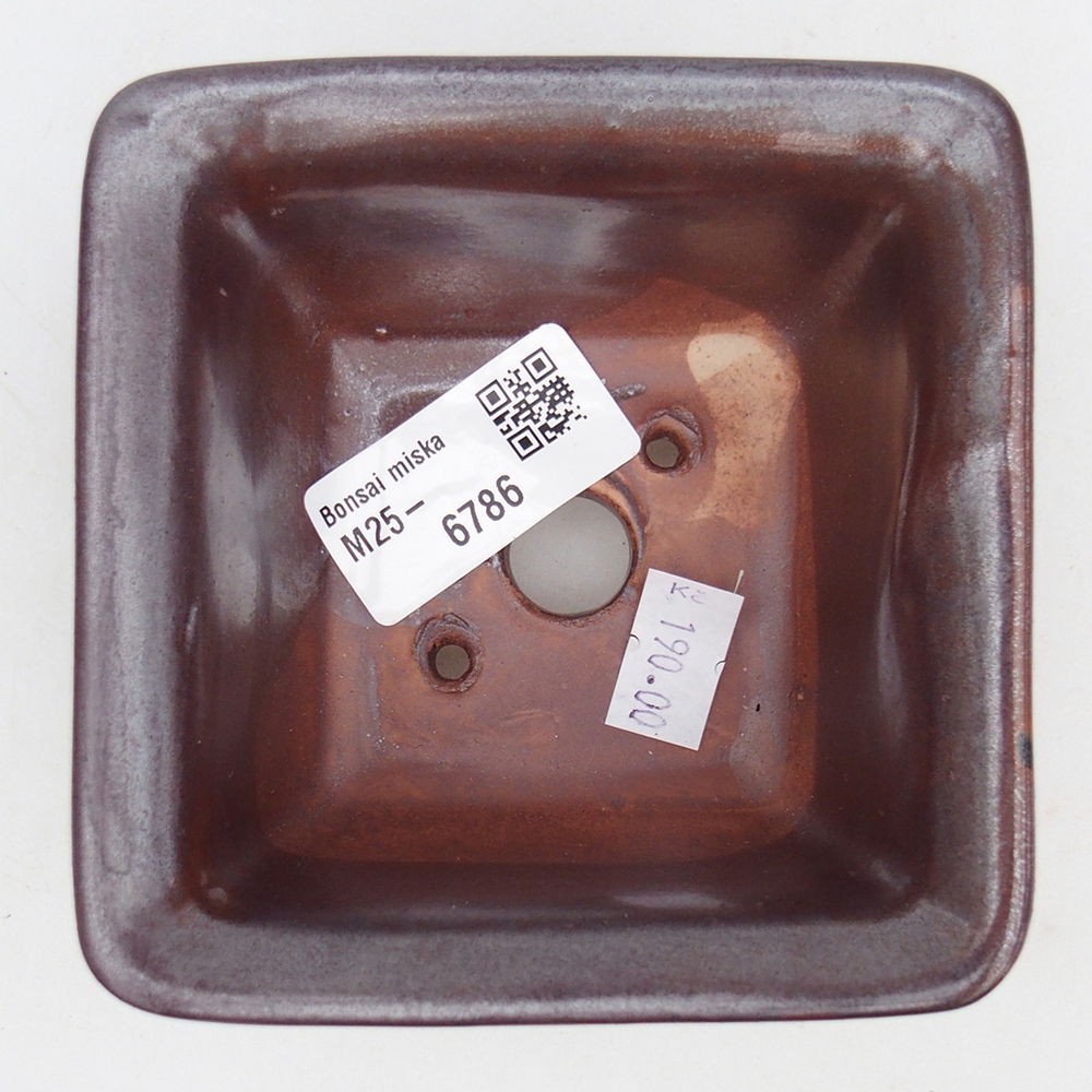 Bonsaischale aus Keramik 10 x 10 x 6 cm, bordeauxrot