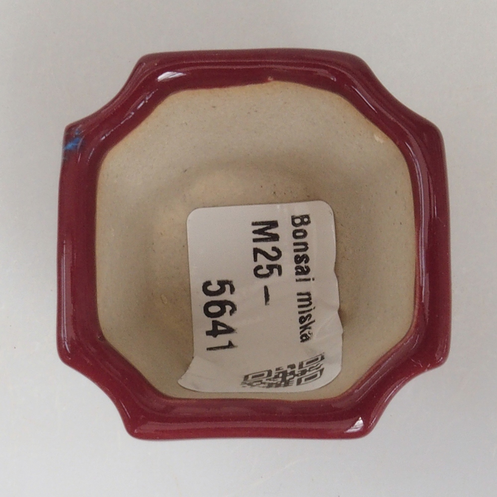 Mini-Bonsaischale 4 x 4 x 4 cm, Farbe Burgunder