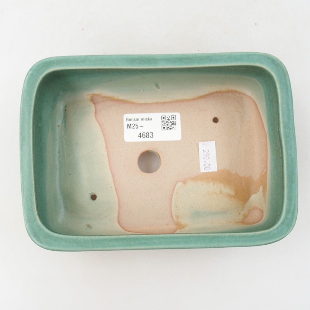 Keramik-Bonsaischale 17 x 12 x 5,5 cm, Farbe Grün