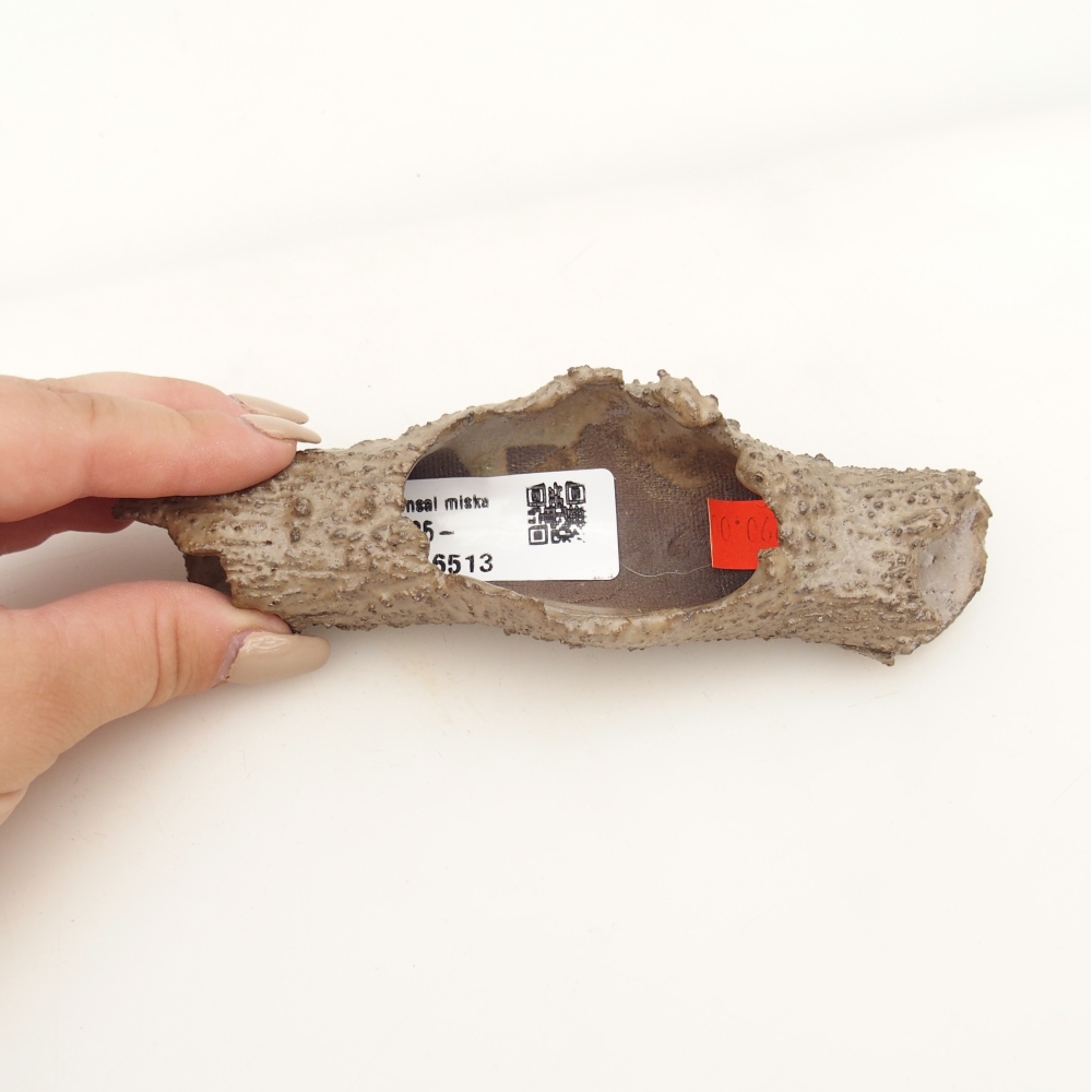 Keramikschale 15 x 5 x 3 cm , Farbe beige