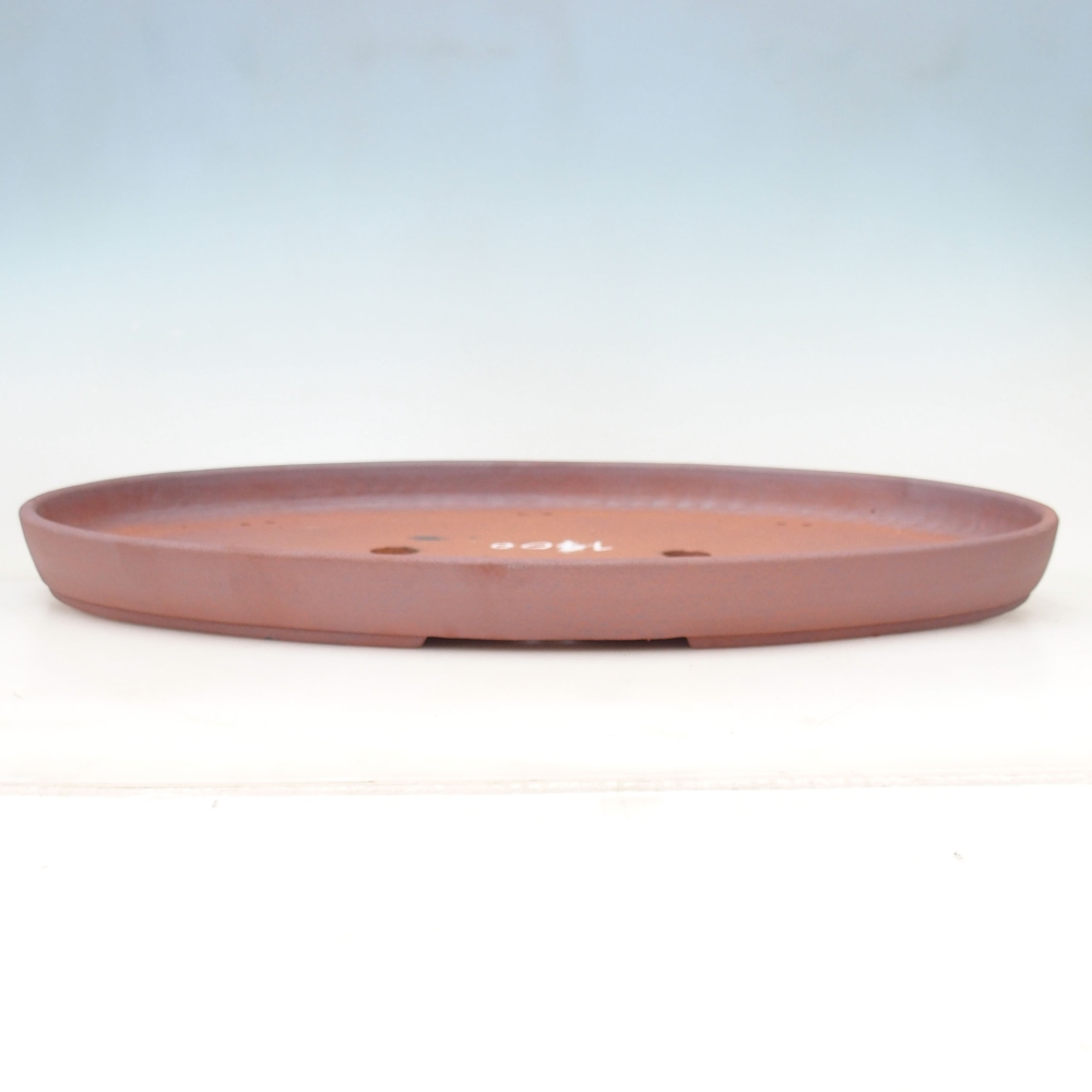 Bonsaischale 59 x 37,5 x 4,5 cm , Farbe Metall - NUR PERSÖNLICHE ABHOLUNG oder Palettentransport