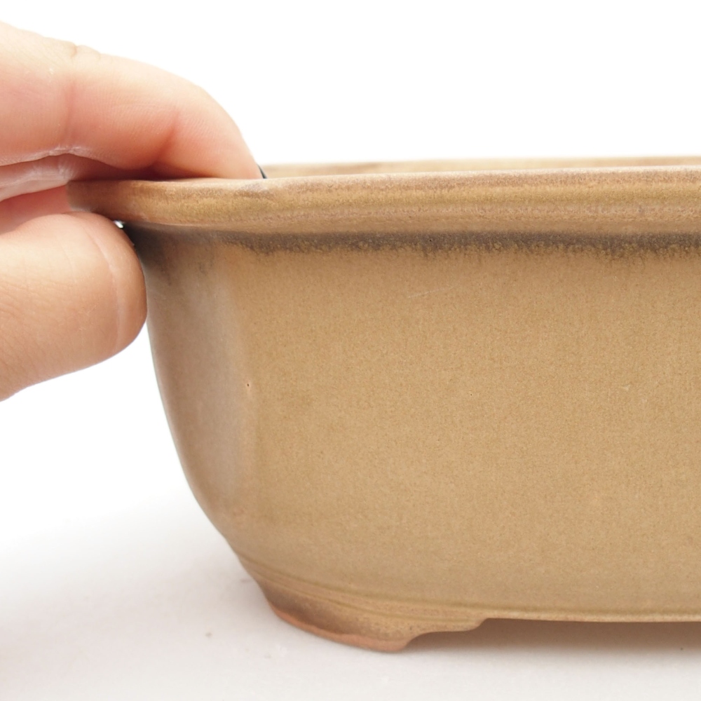 Keramik-Bonsaischale 22,5 x 17,5 x 7,5 cm, Farbe beige