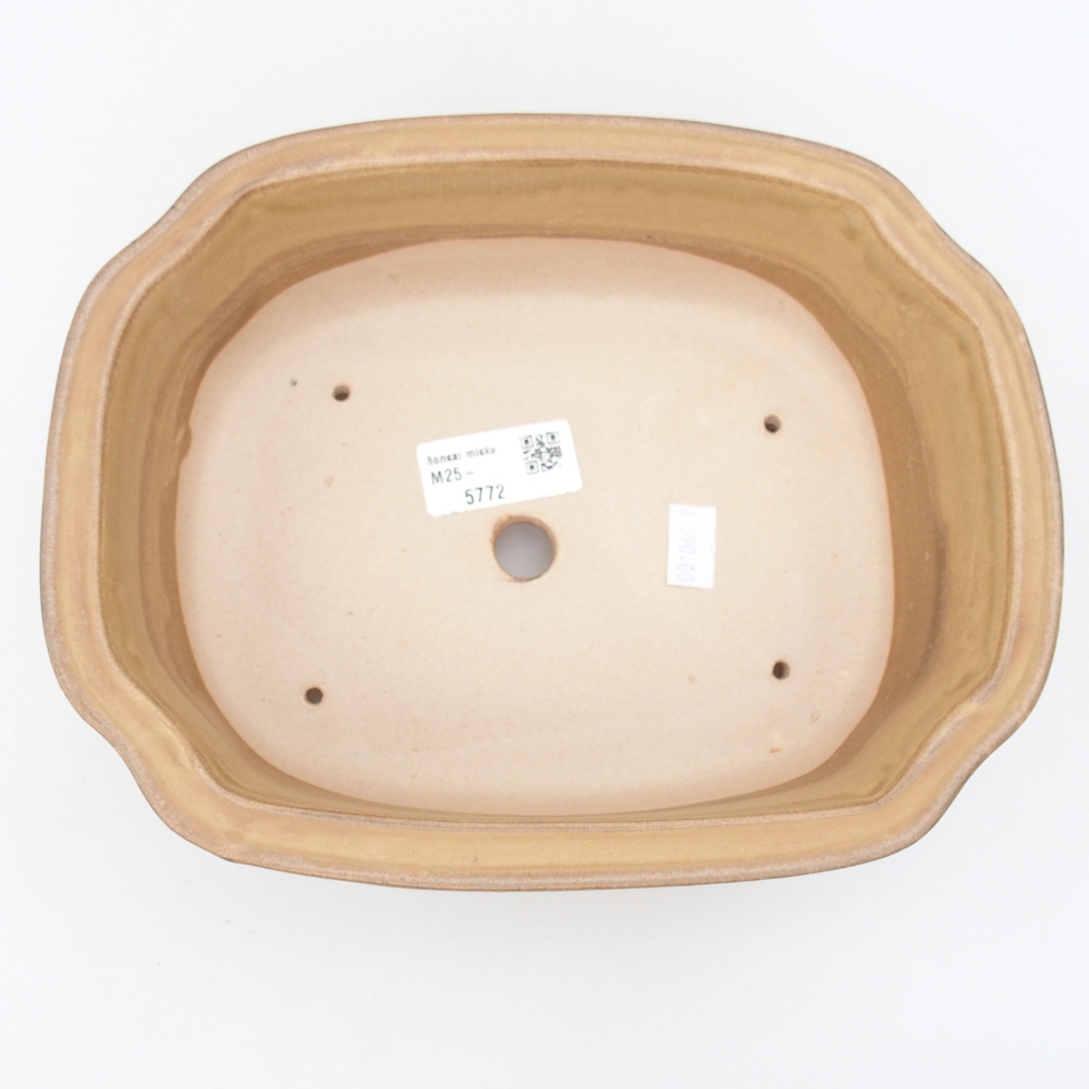 Keramik-Bonsaischale 22,5 x 17,5 x 7,5 cm, Farbe beige