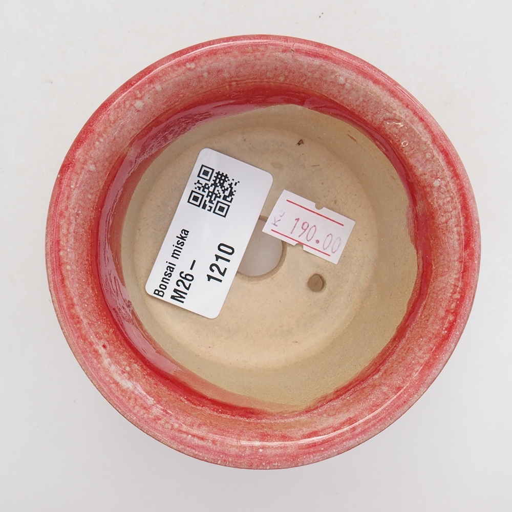 Bonsaischale aus Keramik 9 x 9 x 5 cm, Farbe rot