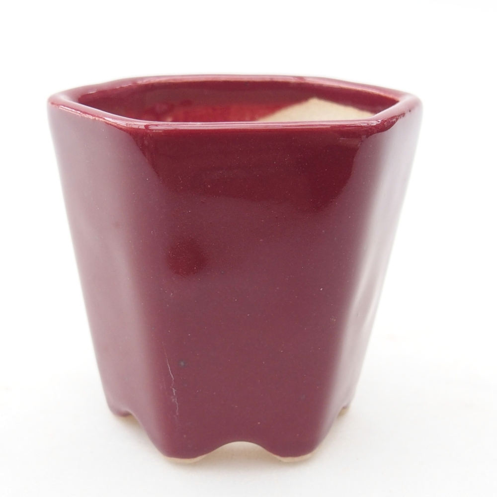 Mini-Bonsaischale 5,5 x 5 x 5 cm, Farbe burgunderrot