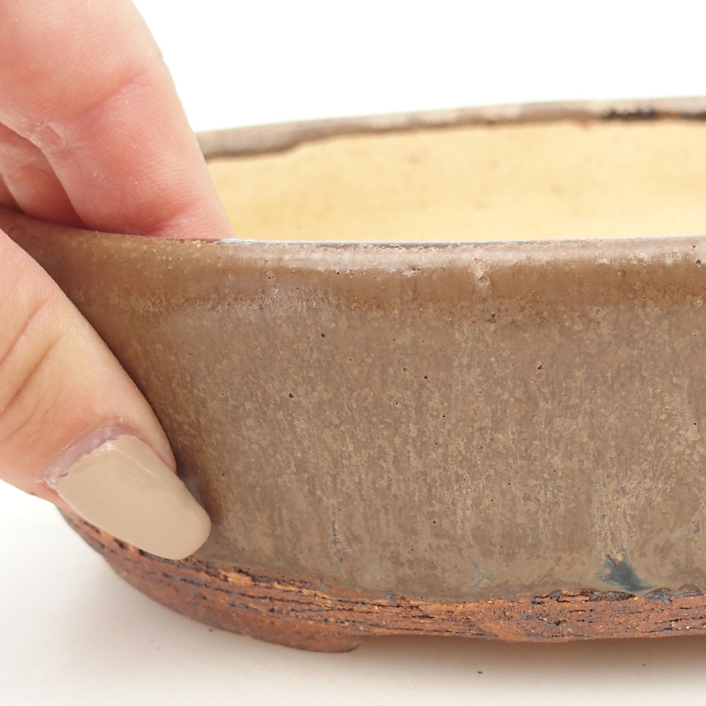 Bonsaischale 19,5 x 16 x 6 cm , Farbe braun
