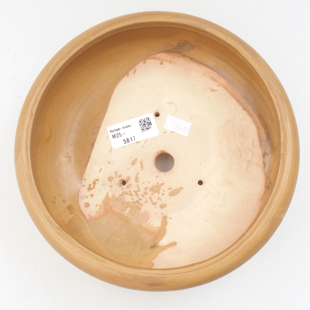 Keramik-Bonsaischale 21 x 21 x 7,5 cm, Farbe beige