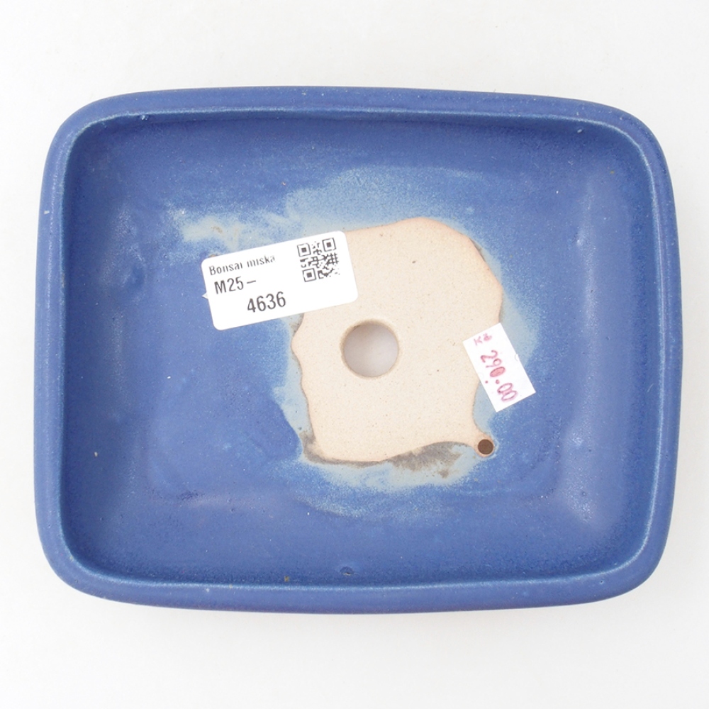 Keramik-Bonsaischale 17 x 13,5 x 3,5 cm, Farbe blau