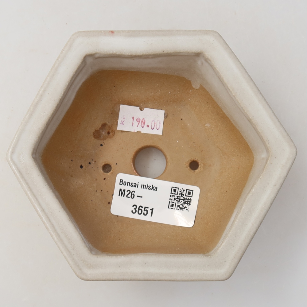Keramik-Bonsai-Schale, 12 x 10,5 x 4,5 cm, Farbe: Weiß