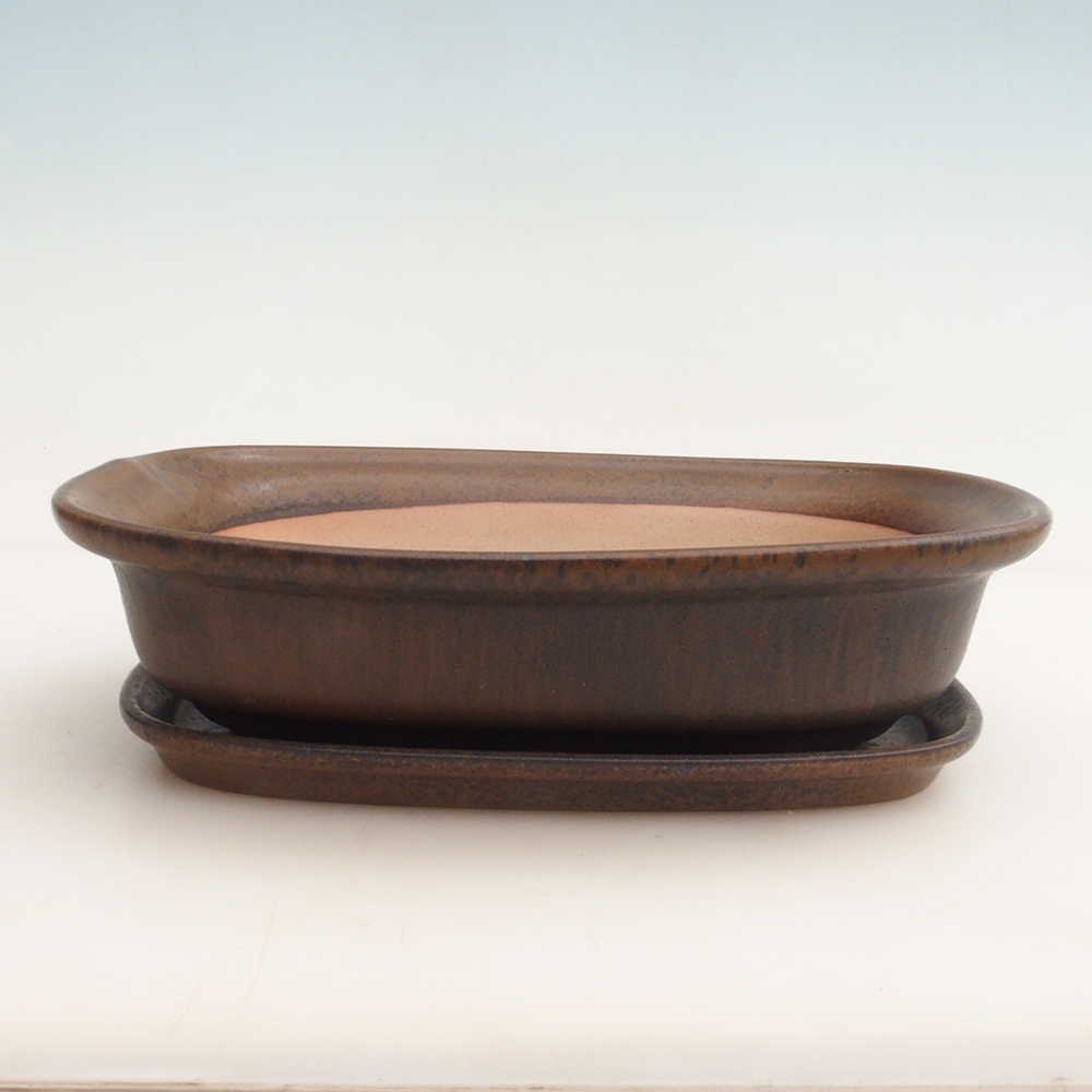 Bonsai-Schale + Untertasse H25 – 23 x 17 x 5,5 cm - Braun